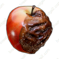 Half-rotten apple icon