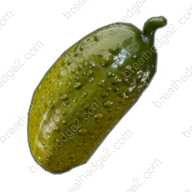 Pickle icon
