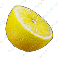 Half lemon icon